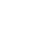Pretty flying duck with wings