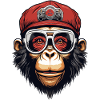 Cool Monkey
