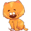 Cat, orange and cute