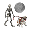 Promenade nocturne bouledogue anglais