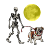 Skeleton Night Walk English Bulldog