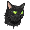 Black Cat Green Eyes