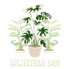 Monstera Dad