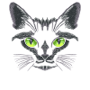 Black Cat Green Eyes