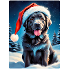 Winter Landscape Dog 3.7