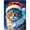 Paysage d’hiver Cat 3.3
