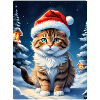 Paysage d’hiver Cat 3.6