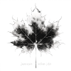 Maple Leafs Dream
