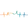 Triathlon Heartbeat