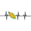 Heartbeat Corn