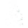 Pirate Skull