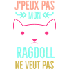Chaton Ragdoll
