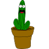 Cactus with beard