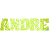 Andre