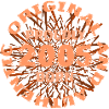 100 2005