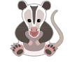 Surprised Opossum Aha-Effect Design