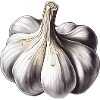 Garlic Charm