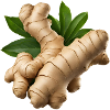 Spicy root