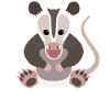 Surprised Opossum Aha-Effect Design