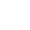 Bear Brown Bear Smiling
