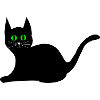 chat noir