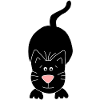 black cat