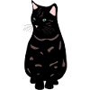 black cat