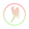 Bird, cockatiel, bird