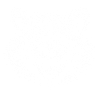 Waschbär