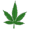 Hemp Leaf