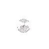 Cheerleading Cheerleader