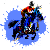 Équitation,Cavalier,Course,Équitation,Tournoi d’équitation