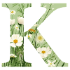 Buchstabe K, Monogramm, Blumenmuster