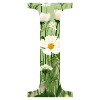 Buchstabe I, Monogramm, Blumenmuster