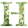Buchstabe H, Monogramm, Blumenmuster