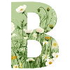 Buchstabe B, Monogramm, Blumenmuster