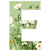 Buchstabe E, Monogramm, Blumenmuster
