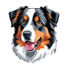 Australian Shepherd
