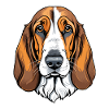 Basset Hound