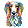 Afghan Hound