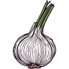 Garlic tuber"