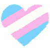 Trans heart