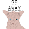 Grumpy sphynx - go away