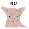 Grumpy sphynx - no