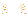 Roi de la pétanque