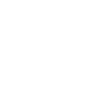 HIGH PERFORMER