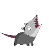 Opossum