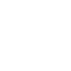 Official Dog Walker