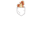 Eichhörnchen in Brusttasche