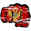 Montenegro Flag Fist Used